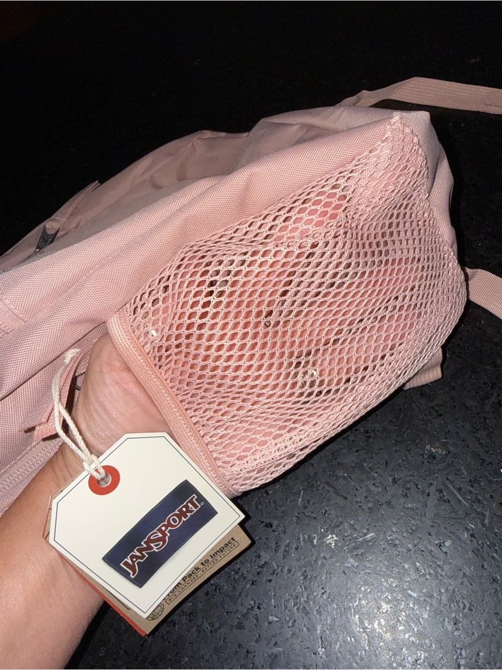 NEW JANSPORT TRANSPORT PACK MISTY ROSE BLUSH PINK 20 L Everyday Backpack NWT - Picture 9 of 10